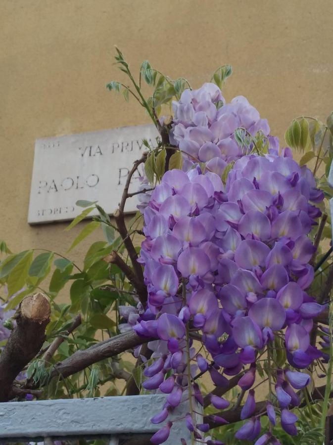 Apartmán Amami Milán Exteriér fotografie